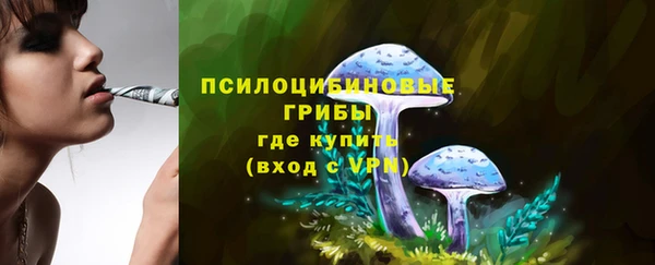 ПСИЛОЦИБИНОВЫЕ ГРИБЫ Семилуки