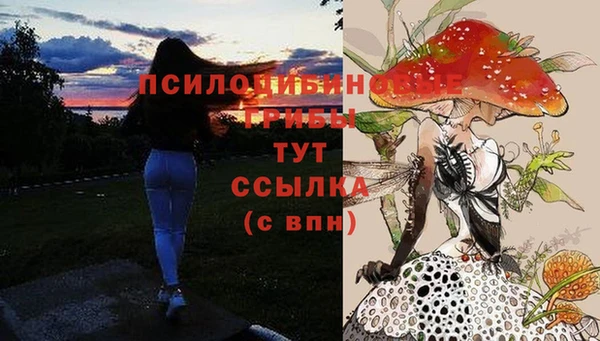 прущая мука Сатка
