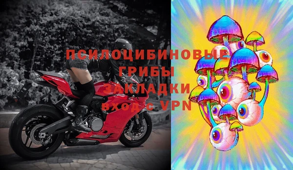 ПСИЛОЦИБИНОВЫЕ ГРИБЫ Семилуки